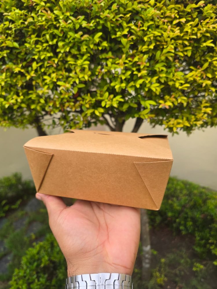 TAKE OUT BOX TOB #8