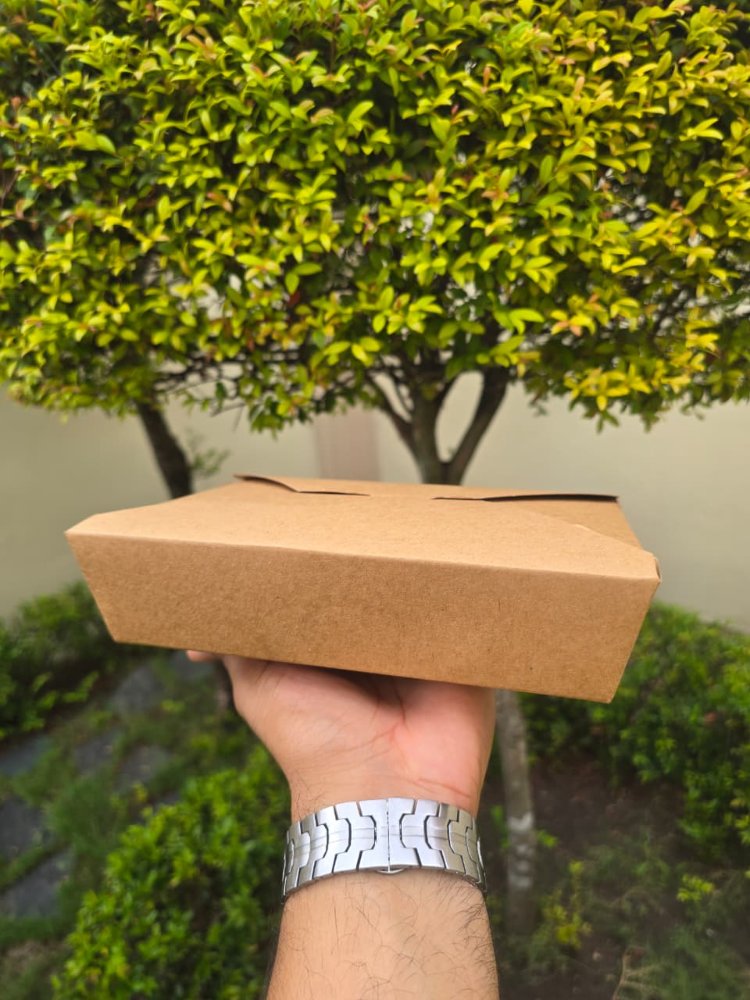 TAKE OUT BOX TOB #2