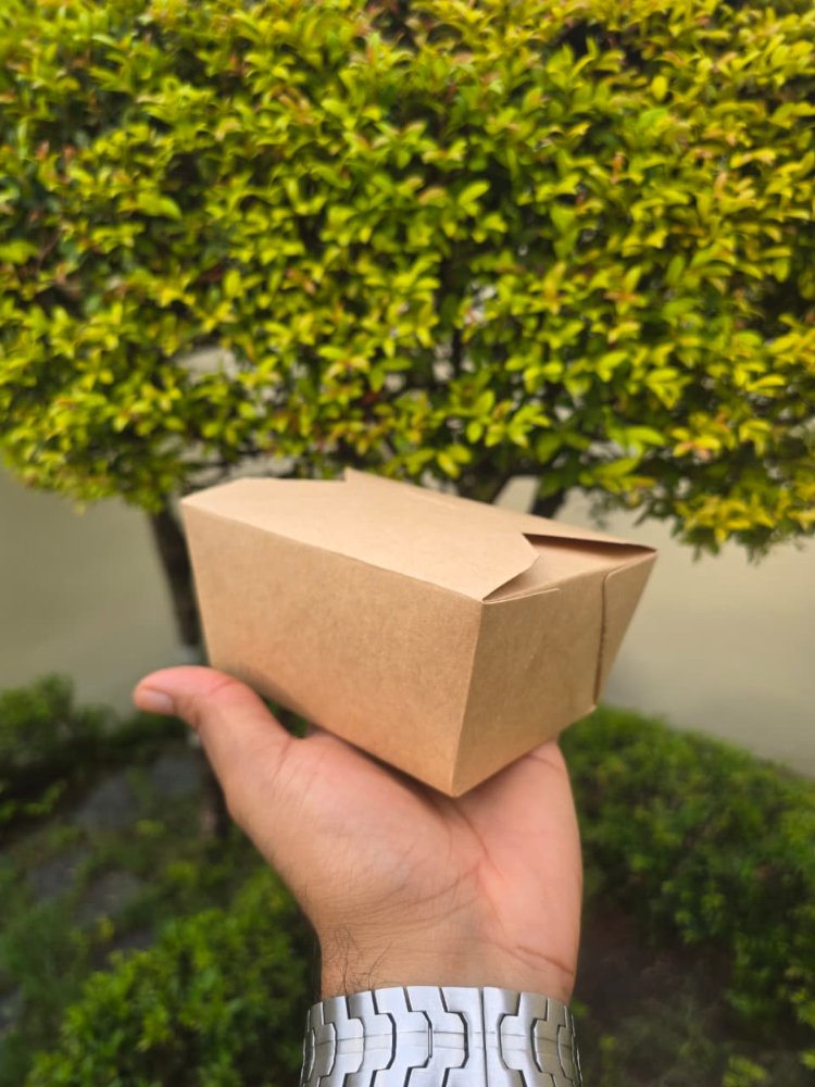 TAKE OUT BOX TOB #1