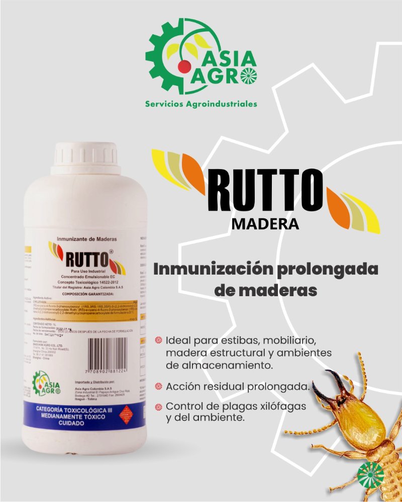 Rutto Madera