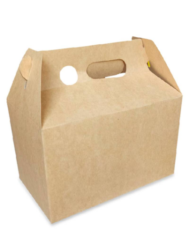 Caja Ecologica Maletin