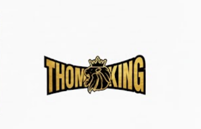 Amarra Plastica ThomKing 3.6x300 mm x 100 und Negra