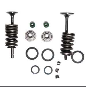 SET DE VALVULAS CGL125