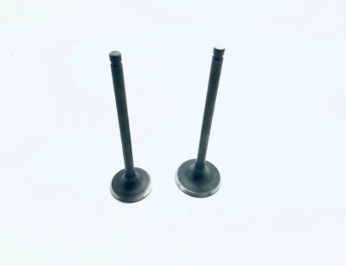 GN125F/H - SET DE VALVULAS - VORMAX