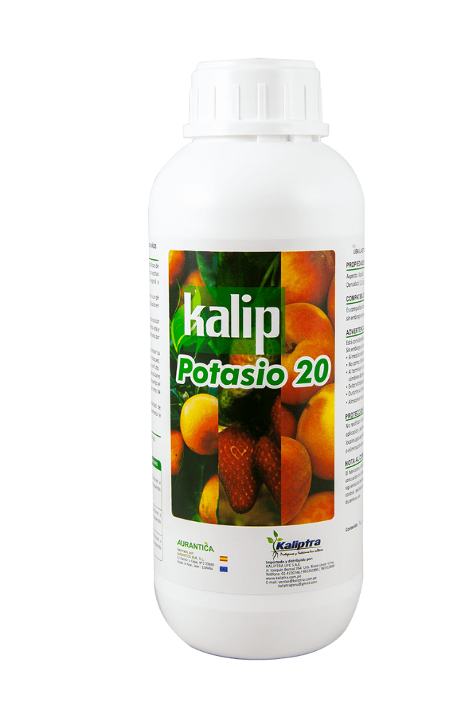 KALIP POTASIO 20 X LT