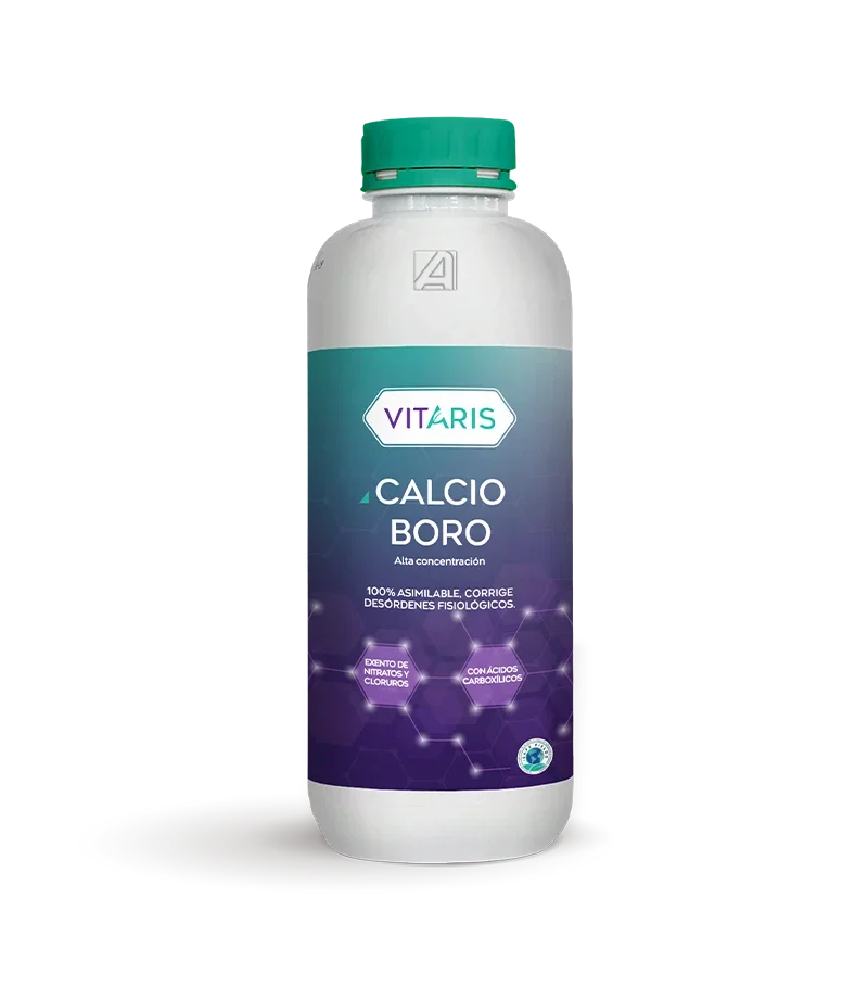 CALCIO BORO X LT
