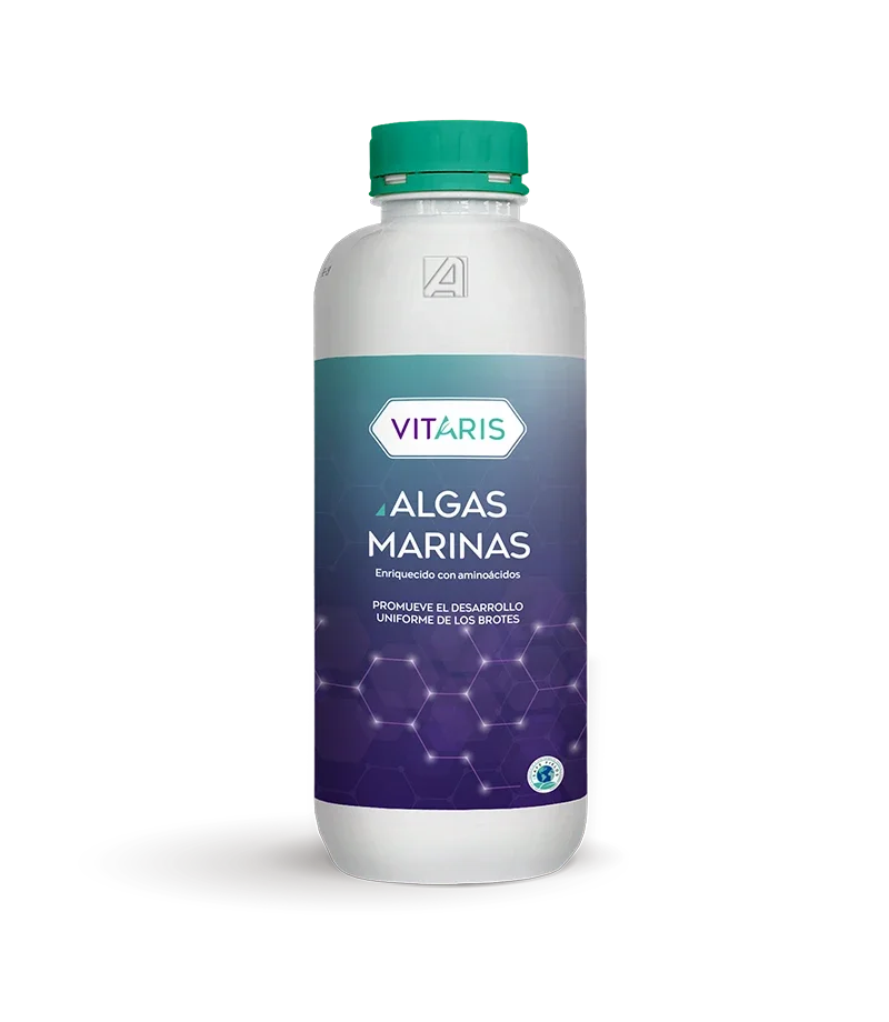 ALGAS MARINAS X LT