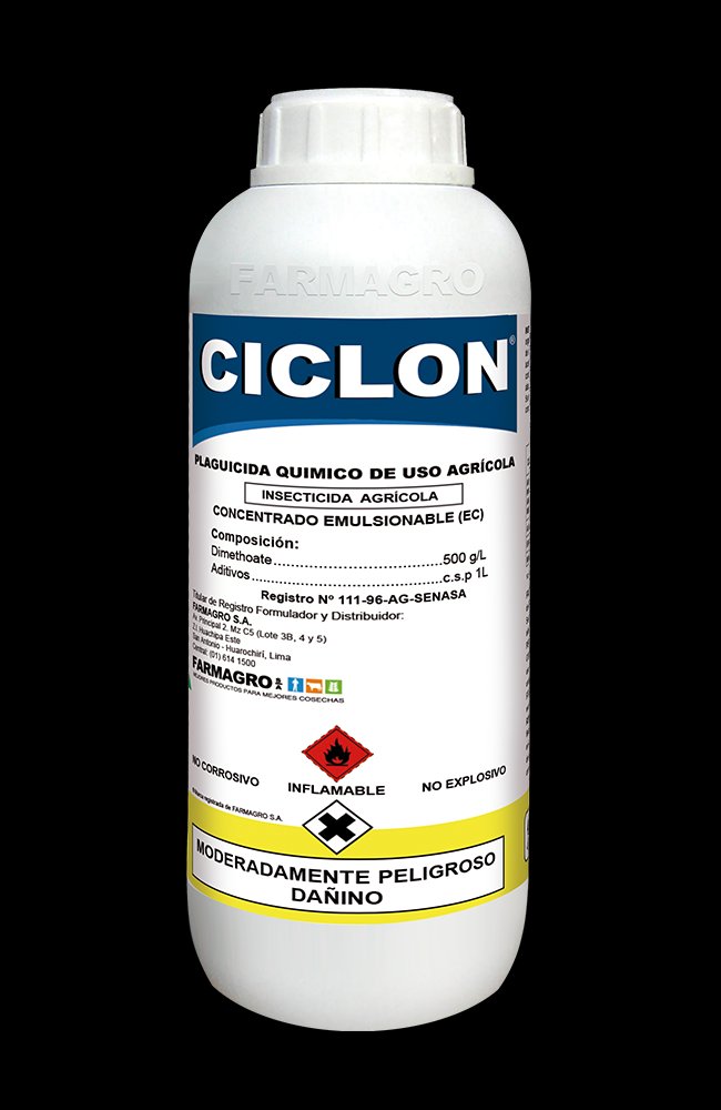 CICLON