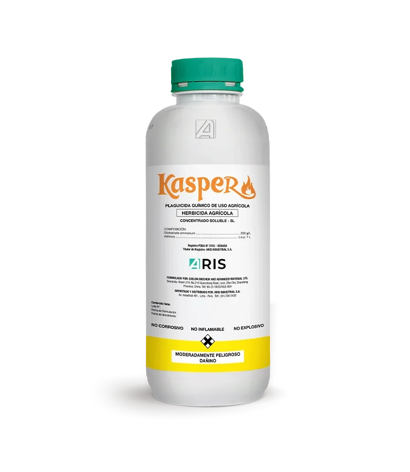 KASPER 200