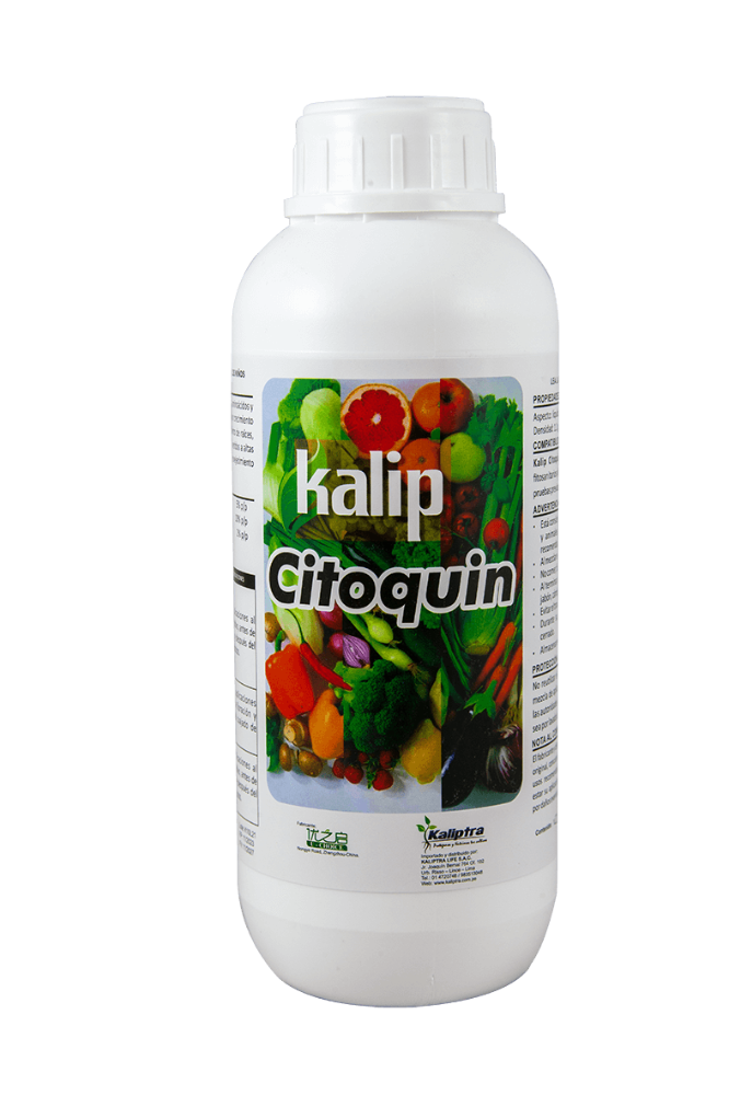 KALIP CITOQUIN X LT