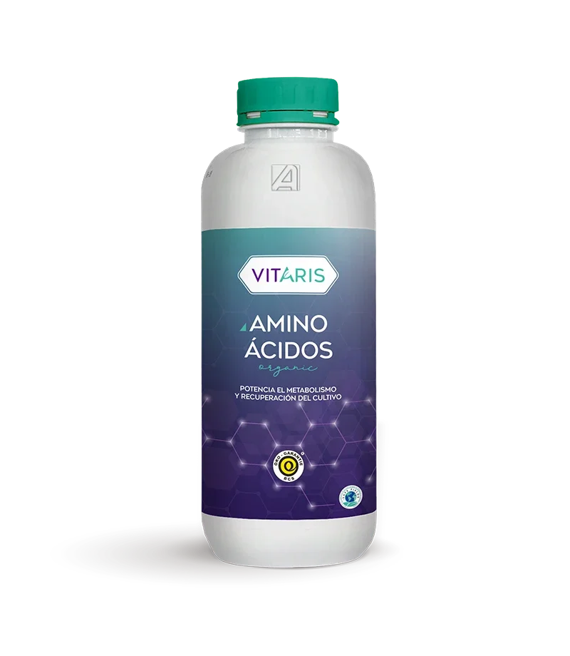 AMINOACIDOS 30% X LT