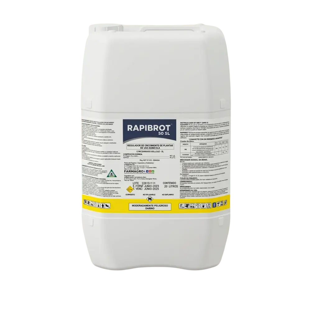 RAPIBROT X BDN