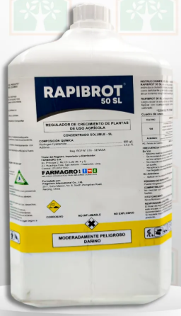 RAPIBROT X GAL