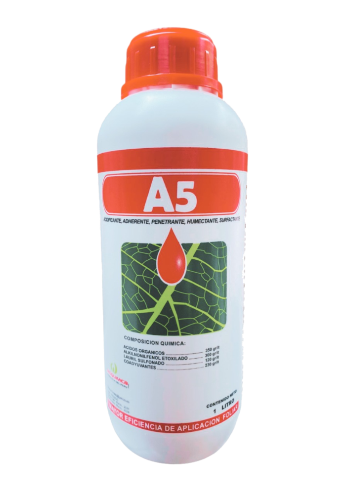 A5