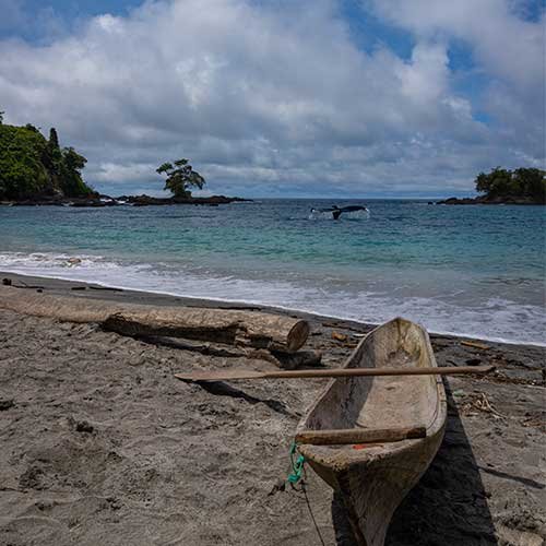 Nuquí - Mar Pacifico Chocó 5D 4N