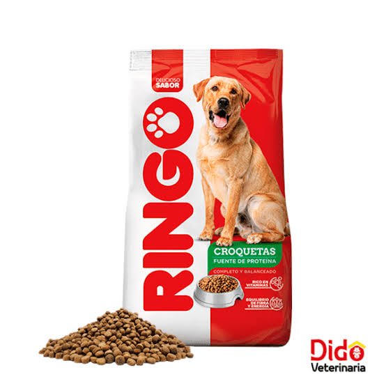 RINGO ADULTO KG