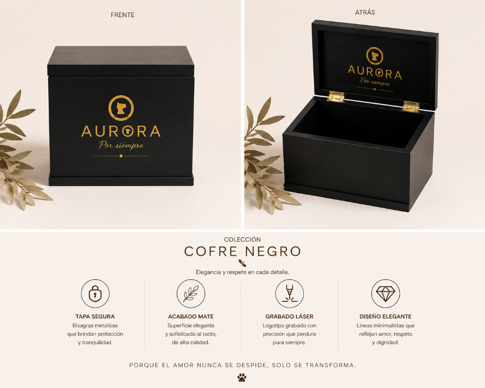 URNA COFRE NEGRO