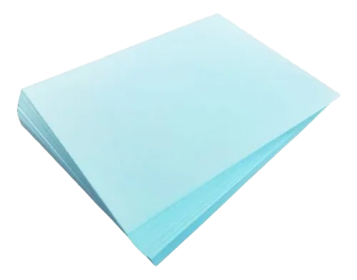 Ficha Bibliografica Azul Paquete x 100
