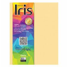 Papel Iris Carta Piel Paquere x 20