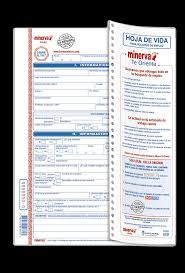 Hoja De Vida Minerva 10-03 x 20