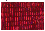 Papel Hologramado Rojo x 10