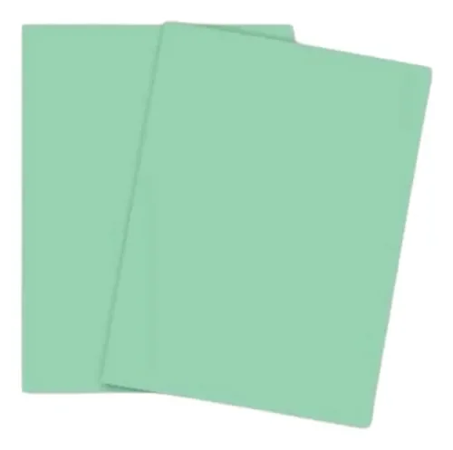 Cartulina Bristol 1/4 Verde Paquete x 5
