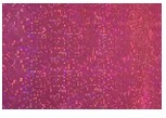 Papel Hologramado Magenta x 10
