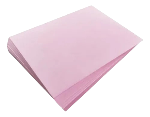 Ficha Bibliografica Rosada Paquete x 100