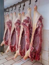 CARNE EN KILOS BRUTOS