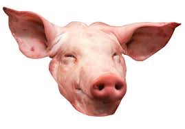 CABEZA DE CERDO