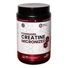 Creatina Monohidrato Micronizada 500gr One Fit