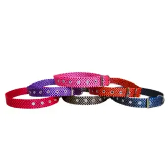 Coleira Cão Nylon Nº 10 Sortida C6