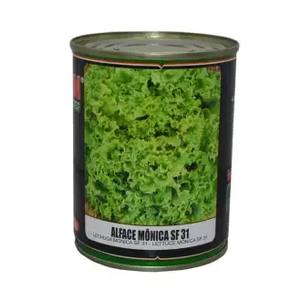 SEMENTE HORTALIÇAS ALFACE MÔNICA FELTRIN 50G