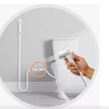 DUCHA HIG ABS/BR 1/4VT FLEX BRASIL