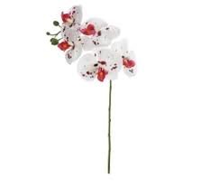 FLOR ORQUIDEA PALHA 55CM 5F BEAUTY BRANC