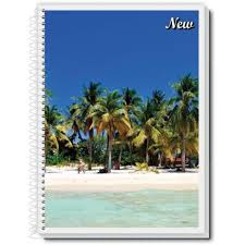 CADERNO ESPIRAL 1/4 96FLS FLEX NEW P.BRA
