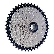 PIÑON CASS SUNSHINE 10V 11/42