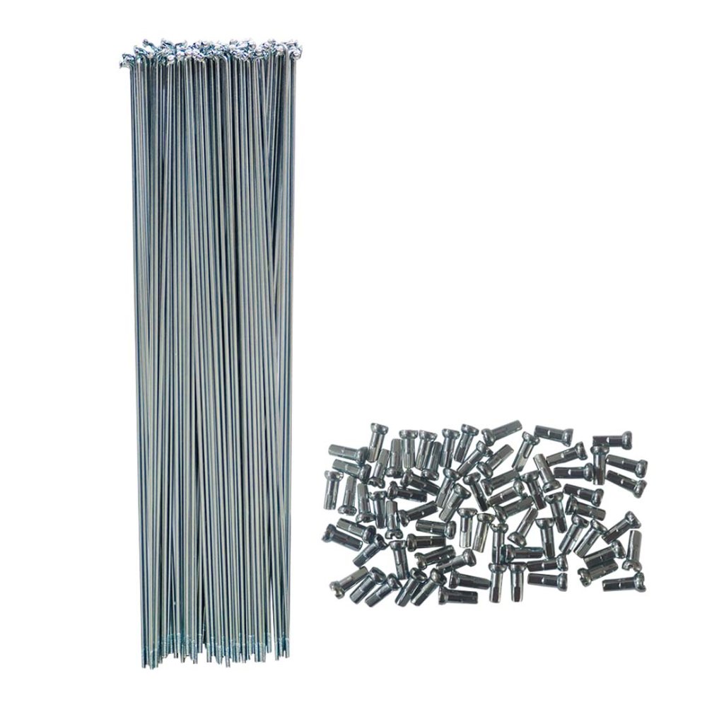 RAYOS 2.90MM NIKEL 36PC