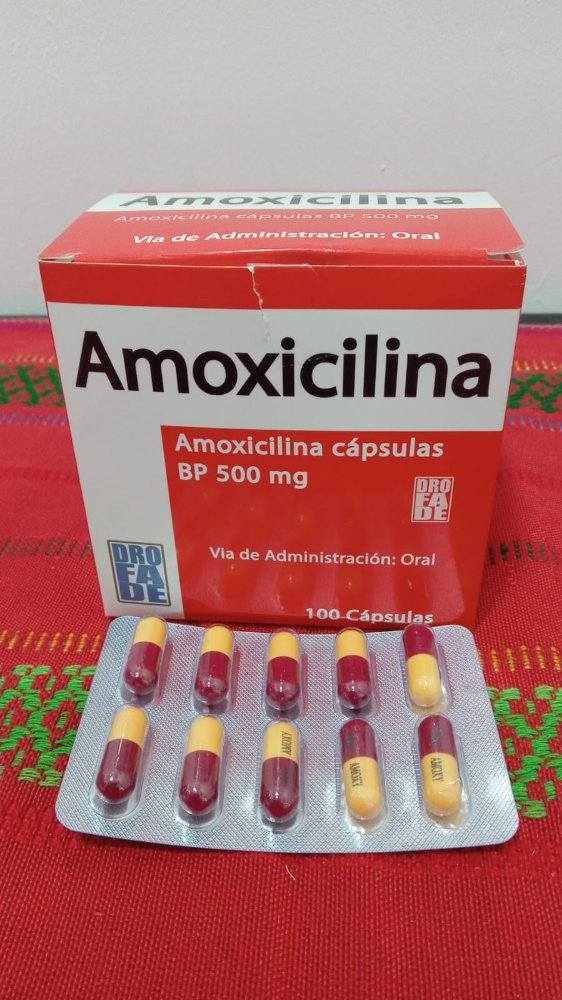 B-2   AMOXICILINA (500 MG) - AMOXICILINA. DROFADE