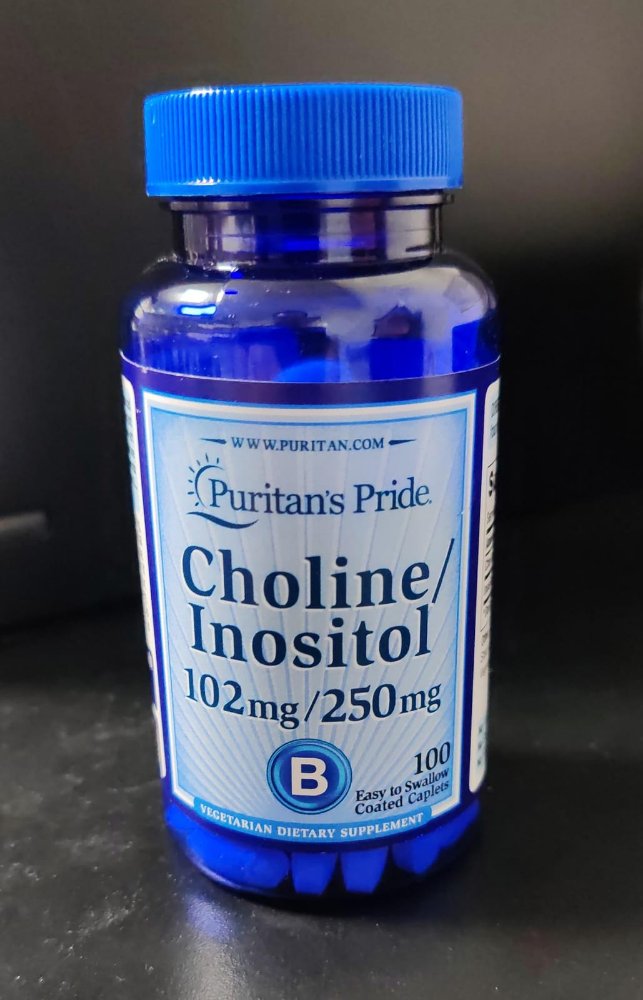 A-4. CHOLINE / INOSITOL (102 MG / 250 MG) - CHOLINE + INOSITOL. PURITAN´S PRIDE