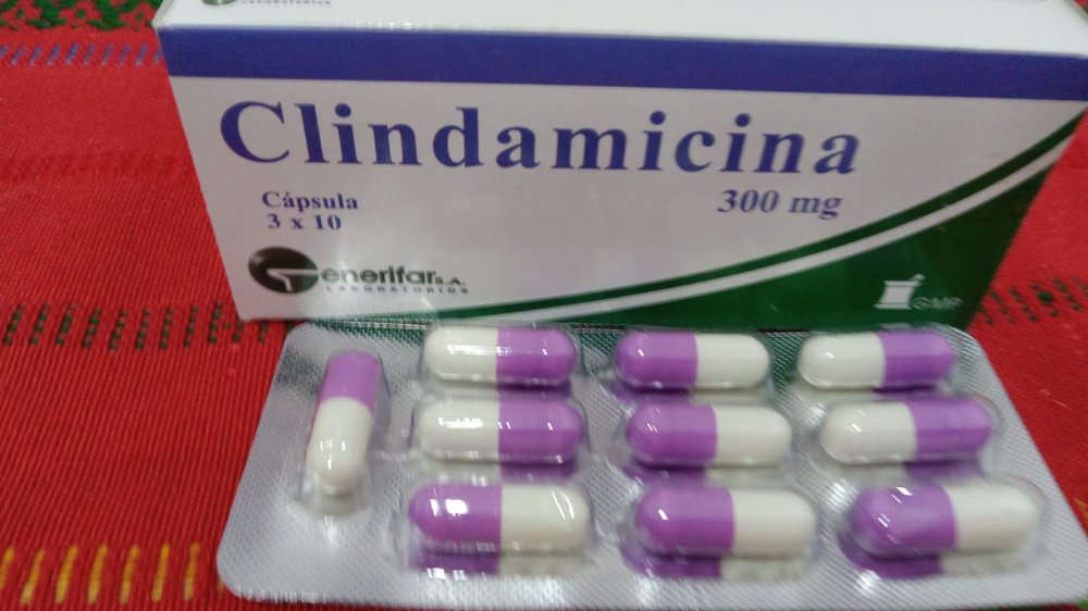 B-1   CLINDAMICINA (300 MG) - CLINDAMICINA. GENERIFAR