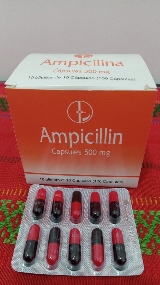 B-1   AMPICILINA (500 MG) - AMPICILINA CAPLINPOINT