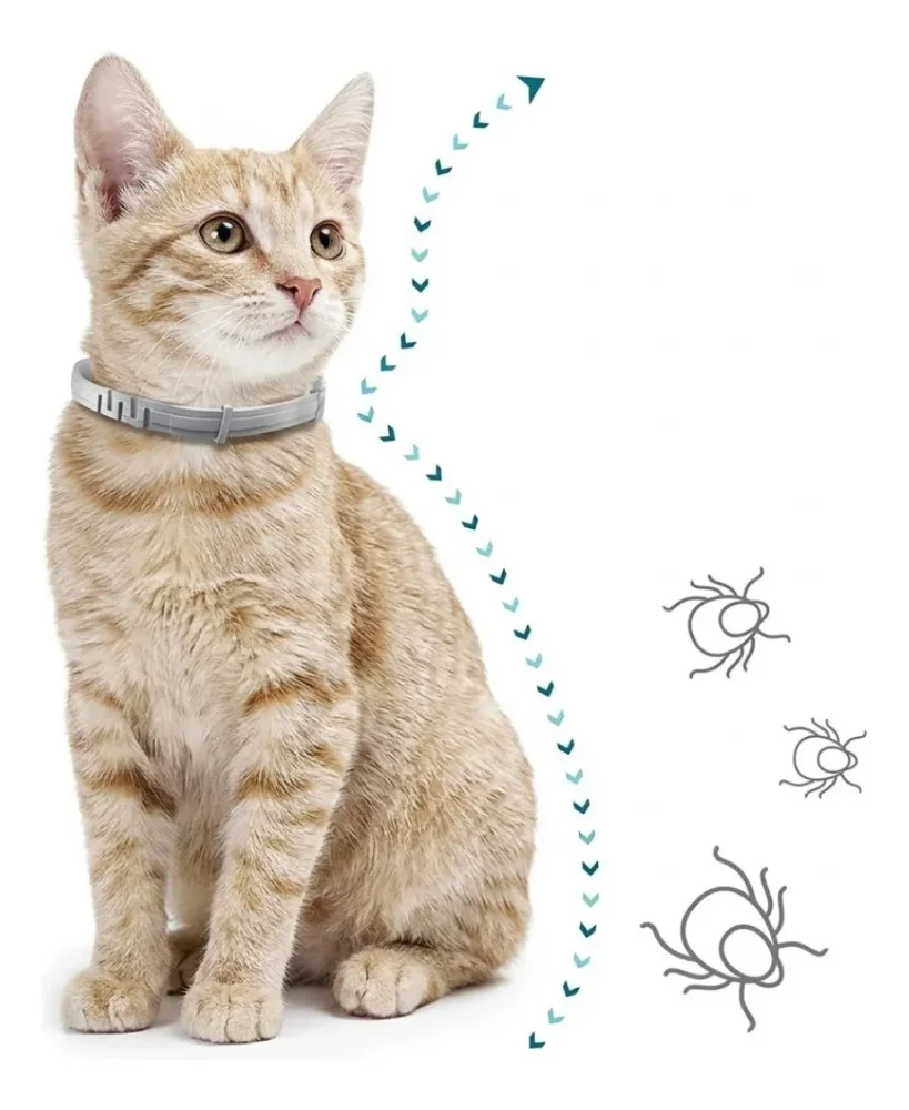 Collar Antipulgas Ajustable: Protección Para Mascotas