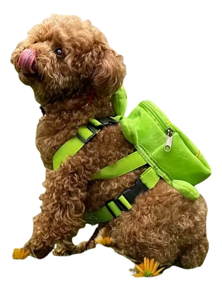 Mochila De Tortuga Para Perros Y Gatos: Diseño Creativo
