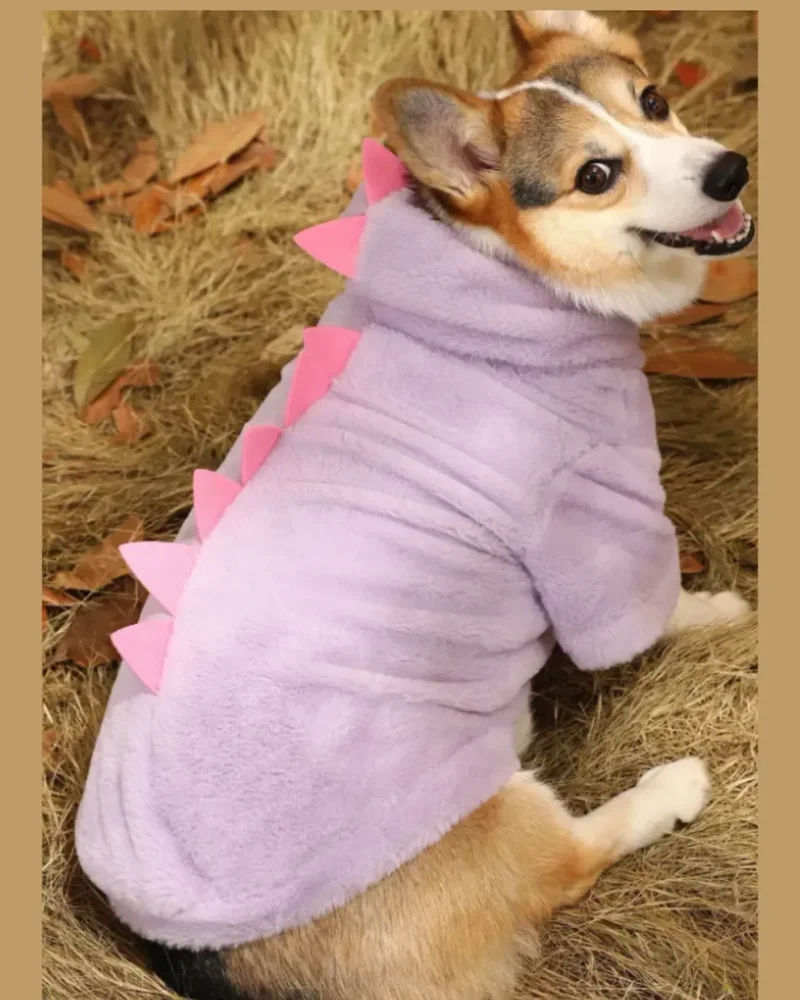 Disfraz Dinosaurio Para Mascota Felpa Suave Xl