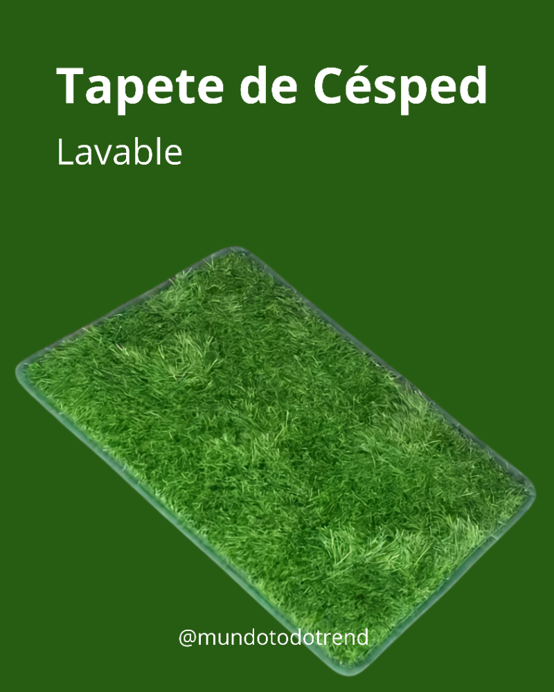 Pasto Sintetico Para Perros Lavable 46x70cm L
