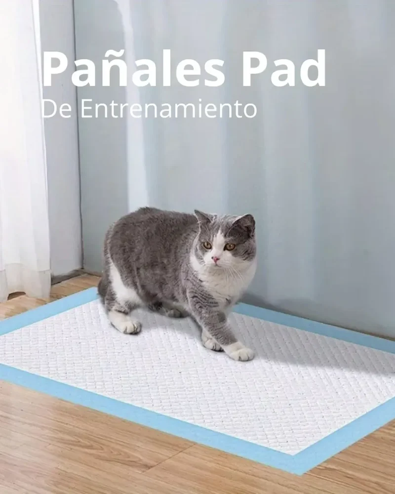 Pañales De Entrenamiento Pads Mascotas Animales 50pcs