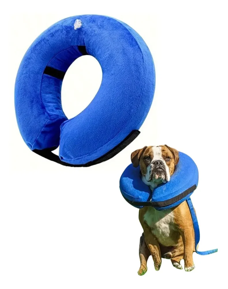 Cono Isabelino Inflable Para Perro Y Gato - Protector