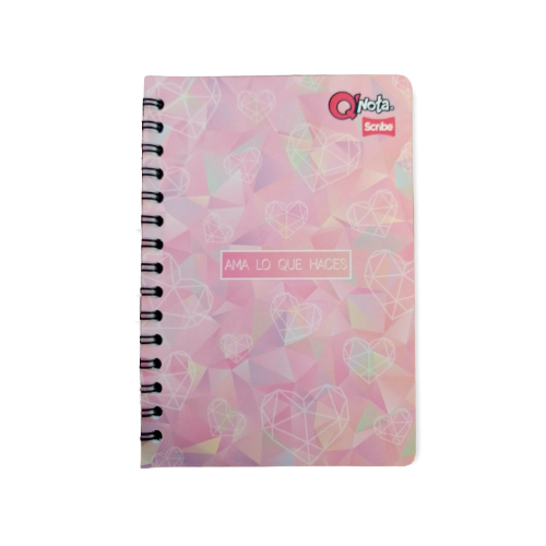 CUADERNO 00 105-80-2 FEMENINO QUE NOTA SCRIBE