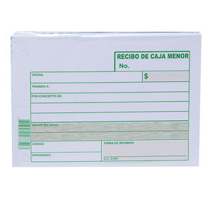 RECIBO DE CAJA MENOR X100